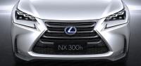 Комплект защитных сеток радиатора Lexus NX 2014-2019 (Standard)