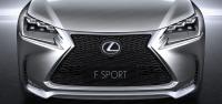 Комплект защитных сеток радиатора Lexus NX 2014-2019 F-Sport