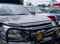 Дефлектор капота Lexus GX460 2010-2023, Wellvisors
