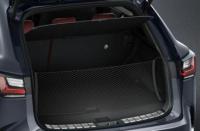 Сетка багажника вертикальная Lexus NX 2022-