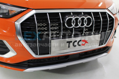 Решетка радиатора внутренняя для Audi Q3 2019 (лист)